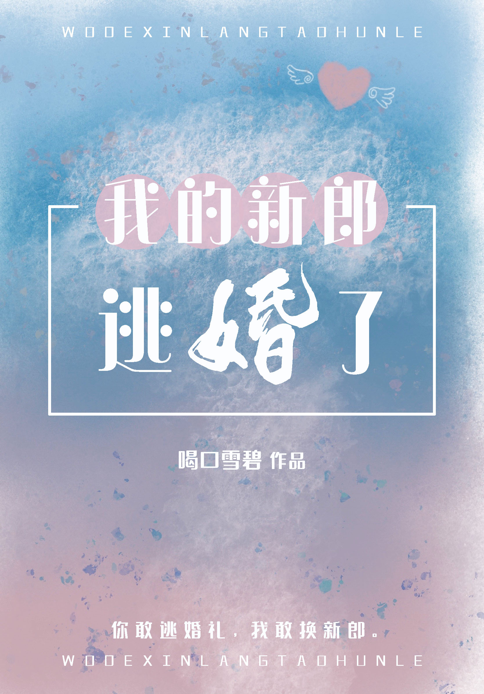 我的新郎逃婚了晋江