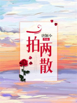 一拍两散小说