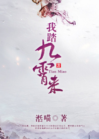 我踏九霄来小说