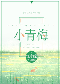 小青梅春风榴火TXT小说下载