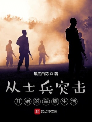 从士兵突击开始的军旅生活 小说