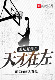 篮坛狂锋之天才在左下载