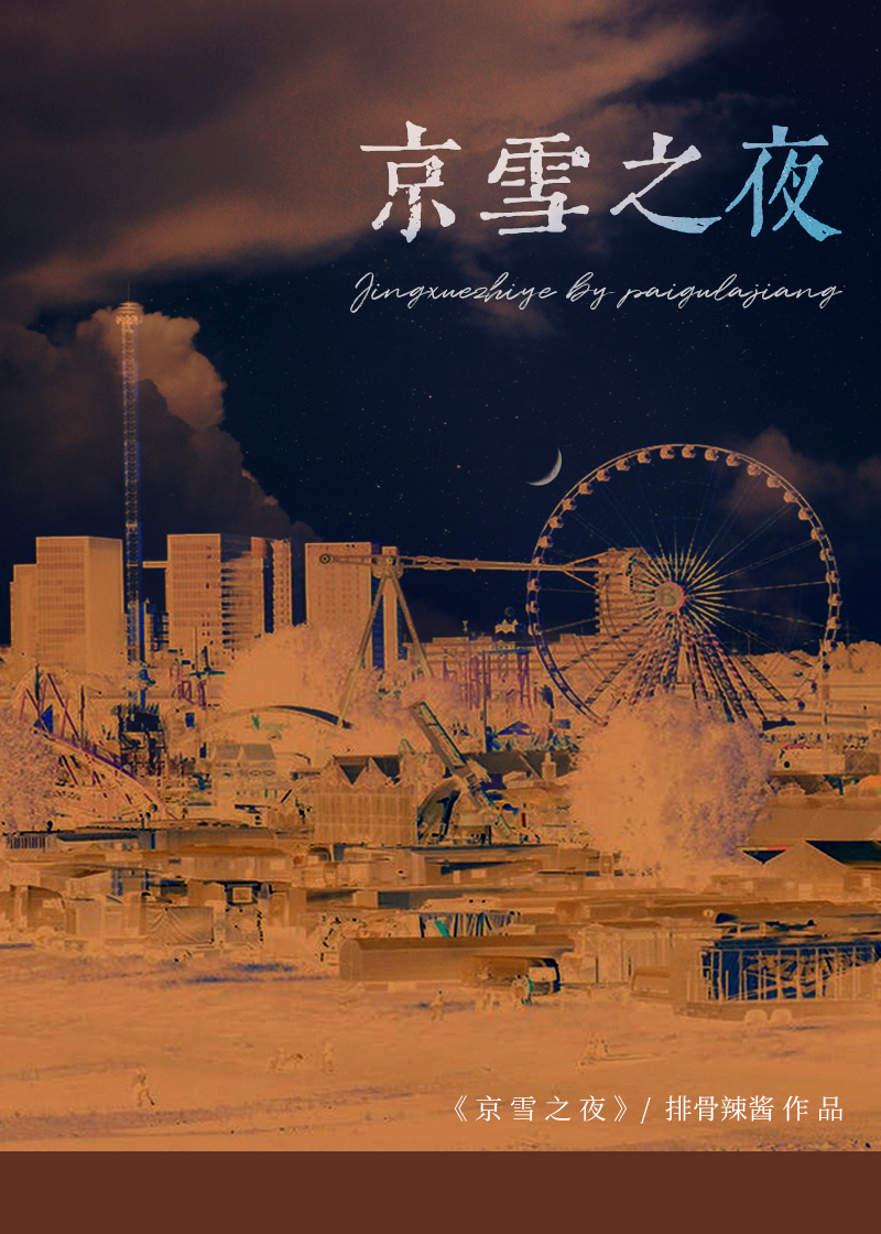 京雪之夜纪荷陆浔之