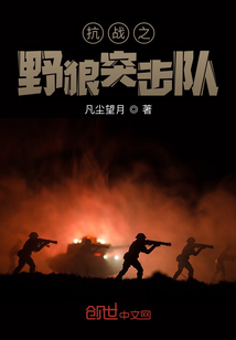 抗战之野狼突击队 第1章