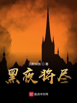 黑夜将尽小说
