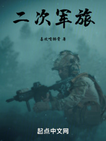 二次军旅免费阅读