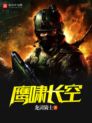 鹰啸长空下一句