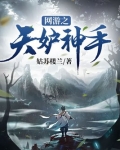 网游之天妒神手