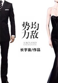 势均力敌 长宇宙
