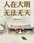 人在大明,无法无天