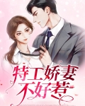 特工娇妻不好惹