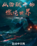 从海贼开始燃烧世界