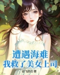 遭遇海难，我救了美女上司