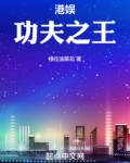 港娱:功夫之王