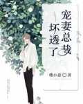 宠妻总裁坏透了