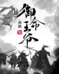 御王爷酒价钱