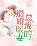 总裁的退婚暖妻