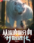从流浪猫分身开始进化