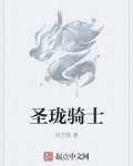 圣珑骑士