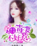 重生八零:毒妻不好惹