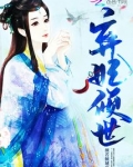 弃妃倾世小说