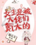 女主是被大佬们氪大的