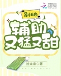 别碰我辅助