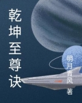 乾坤至尊百度百科