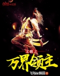 文明之万界领主
