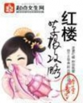 红楼攻略小说免费阅读