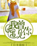 日光微暖:我曾遇见你