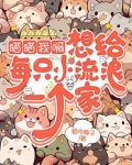 一只想给的猫