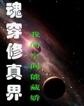 魂穿修真界我的空间能藏娇