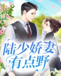 陆少娇妻有点野