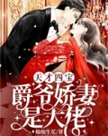天才四宝：爵爷娇妻是大佬