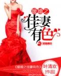 暖婚之佳妻有色