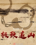 极致追凶