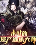 木叶的遗产继承大师