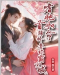 首辅娇媳