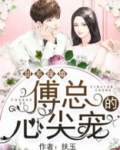 甜系暖婚:傅总的心尖宠