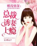 总裁诱妻上瘾