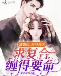 离婚后，封爷每天求复合缠得要命