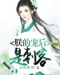 朕的宠妃是刺客