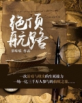绝顶航路