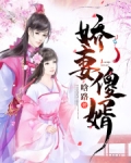 娇妻傻婿