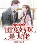 一胎七宝团宠妈咪是大佬以安兮乐