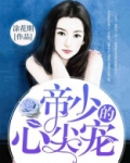 帝少的心尖宠