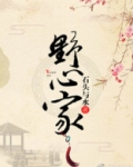 野心家全文免费阅读
