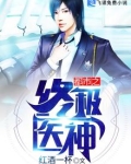 都市之终极医神