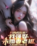 开局成反派?我强娶未婚妻老祖小说